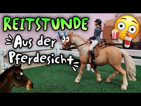 PFERD AUSGEBROCHEN? 🤯 Reitstunde aus der Sicht der Pferde 👀 🐴  | Reitunterricht #4