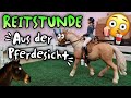 PFERD AUSGEBROCHEN Reitstunde Aus Der Sicht Der Pferde Reitunterricht 4