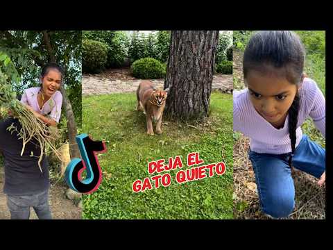 Luciana's New Tik Toks / Calling Animals as They Trazan