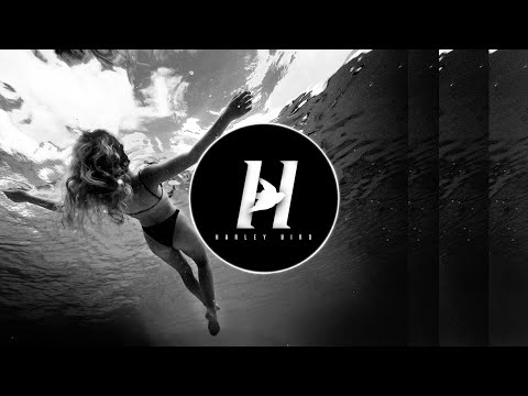 jay bird x twstd zoo x harley bird - float