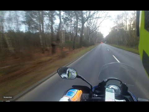 Single Track UK: The Nextmen & Gentlemen's Dub Club - Rudeboy (feat  Gardna) - Horsell Common