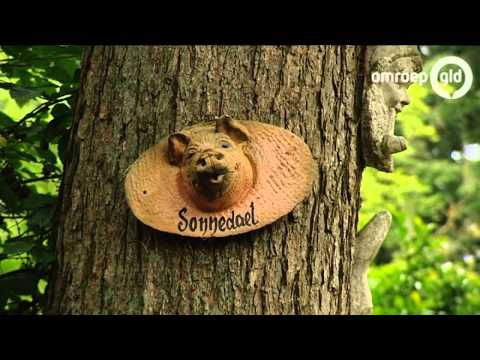 Goede Zomers Slechte Zomers 11 augustus 2013