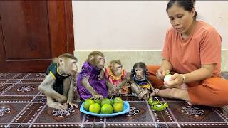 Download lagu 4 Siblings Sit Very Mannerly Waiting Mom To Slice Oranges For Them To Eat Very Sweet &Mouth Watering mp3