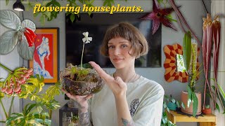 the best blooming plants to add a touch of whimsy to your home ✨🌸🧚‍♂️