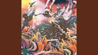 Hunting the Shy 70's Disco