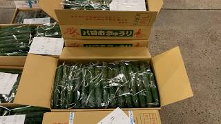 3月7日【びわ湖放送ニュース】知事が市場で野菜トップセールス