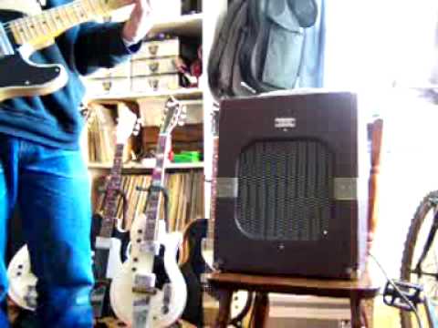 50s Newcomb G-12 amplifier w/ Telecaster