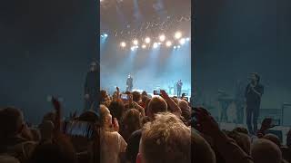 Les moutons - Matmatah au printemps de Bourges 2024 #concert #musique #live #tour