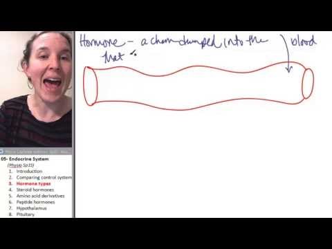 Endocrine 3- Types of hormones