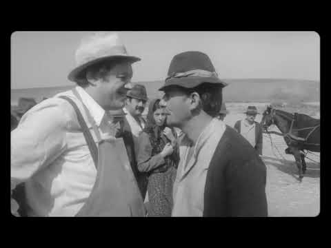 "Morometii" movie : Stan Tugurlan faces the local mafia (the mayor, policeman and the local head).