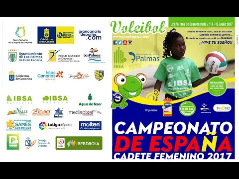 Voleibol Arroyo - A.E. Carles Vallbona