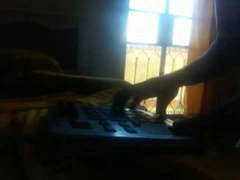 Mc rayanne. furdunço das novinhas - DJ JONATHAN MPC