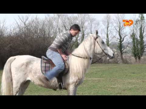 Ne Shtepine Tone, 25 Mars 2016, Pjesa 5 - Top Channel Albania - Entertainment Show