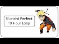 Bluebird 10 Hour Perfect Loop