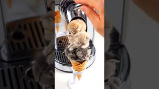 🍦 Ice Cream Cats 🐱 | ASMR Satisfying & Relaxing #shorts #cat #aiasmr