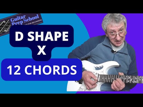 How To Play 12 Chords Using The D Shape🎸