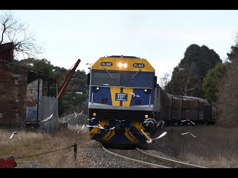 SCT Logistics 2MP9 RailFirst EL62 leading SCT009 CSR008 CSR003 8th June 2021