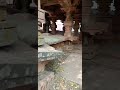 Warangal Veyyi Stambala Gudi