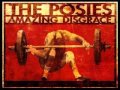 The Posies - Fight It (If You Want)
