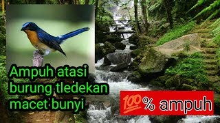 Download lagu Terapi tledekan gunung macet bunyi 💯% ampuh mp3 Download lagu Terapi tledekan gunung macet bunyi 💯% ampuh mp3