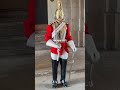 Kings Royal Guard London London Horse Royalguard Horseguard Royal Kings Travel King