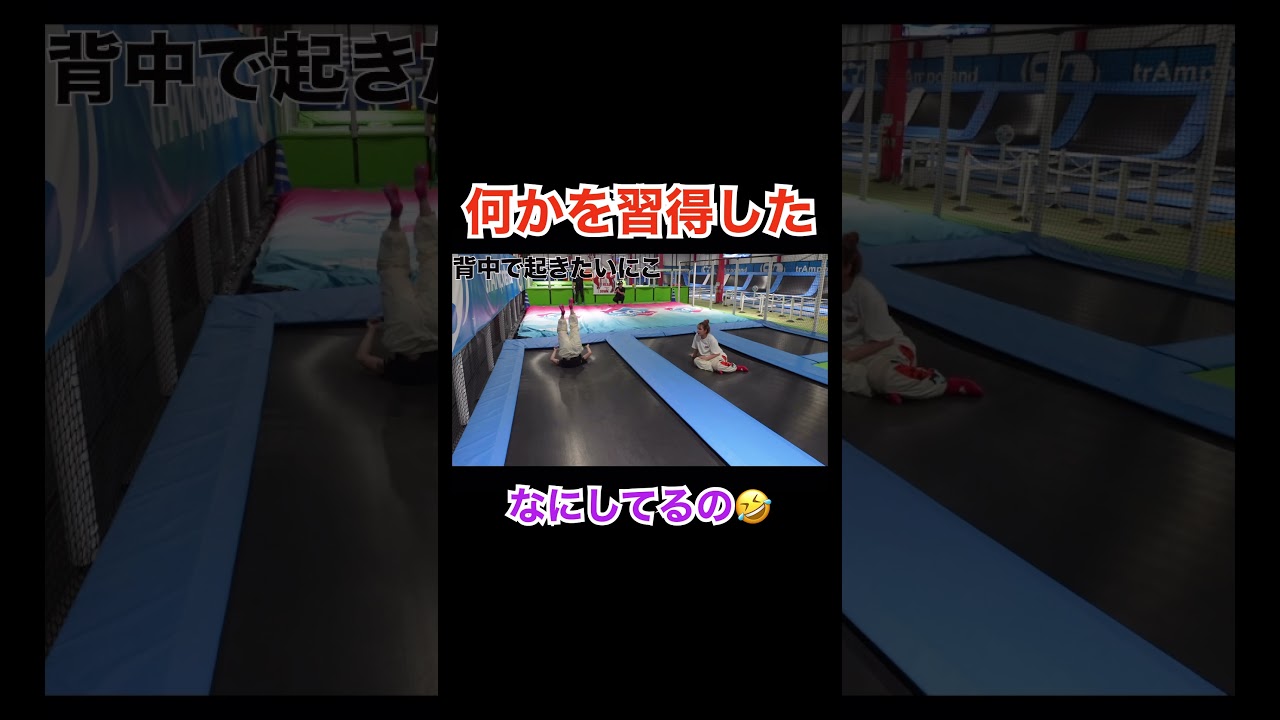 別の何かを習得した【平成フラミンゴ】