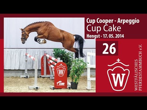 26 Cup Cake Hengst v.  Cup Cooper - Arpeggio