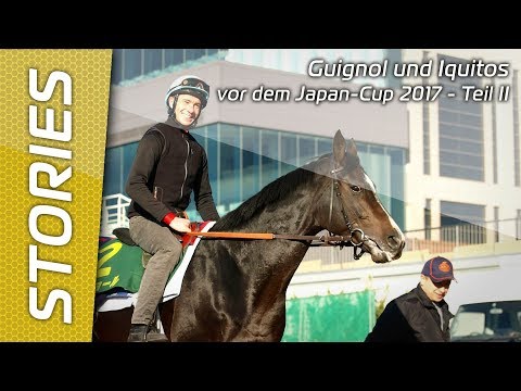 Iquitos & Guignol vor Japan-Cup 2017 Teil II