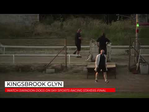 Kingsbrook Glyn - Watch Swindon Dogs on Sky Sports Racing Stayers Final