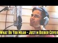 What Do You Mean by Justin Bieber | Alex Aiono ...