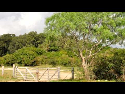 download lagu mp3 mp4 Ajha Potama, download lagu Ajha Potama gratis, unduh video klip Ajha Potama