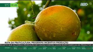 Miniatura do vídeo