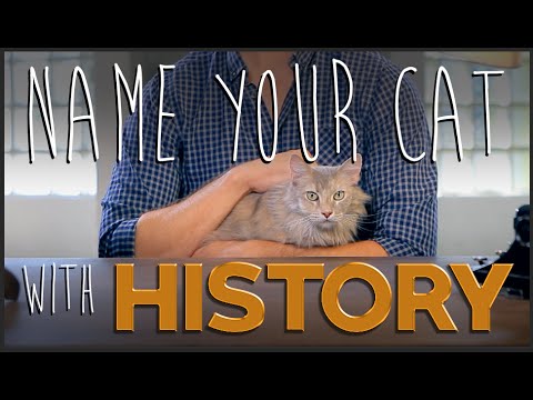 How to Name Your Cat Using History