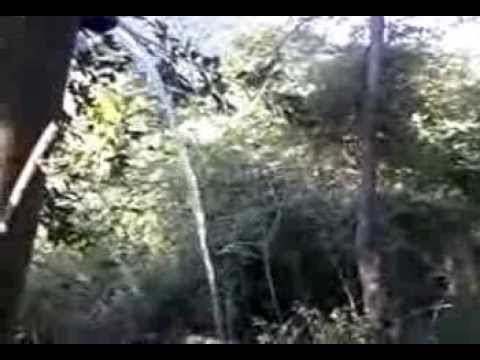 yalova burhaniye köyü ev