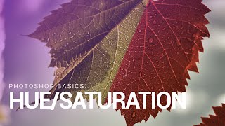 Photoshop Basics: The Power of Hue/Saturation