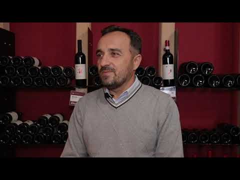 Lokalna trpeza - Vinarija Despotika