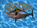 Spongebob Pirate Song Trial