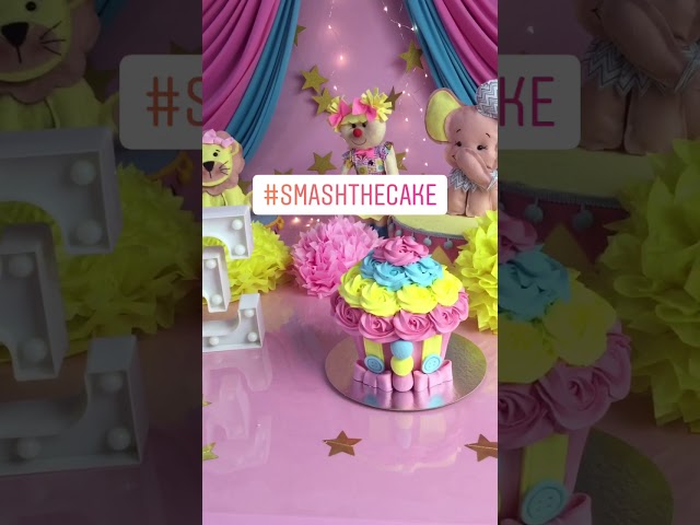 Tami Rodriguez - Smash the Cake - Antonela - Circo Rosa - Niterói-RJ.'