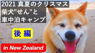 2021 真夏のクリスマス 柴犬"せん"と車中泊キャンプ 【 後編 】in New Zealand