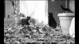 Poppyland Music Video