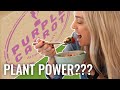 Purple Carrot Meal Review: Best Plant-Based Delivery? Purple Carrot Meal Review: Best Plant-Based Delivery?
