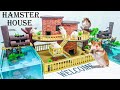 Build Hamster Maze - DIY Brick House For Hamster