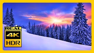 Winter Scenes And Relaxing Music Relax & Meditation Calm Music RELAXING MUSIC4K OLED TV Screensaver