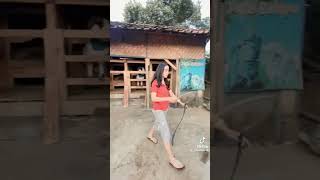 Download lagu teh Cindy mp3 Download lagu teh Cindy mp3