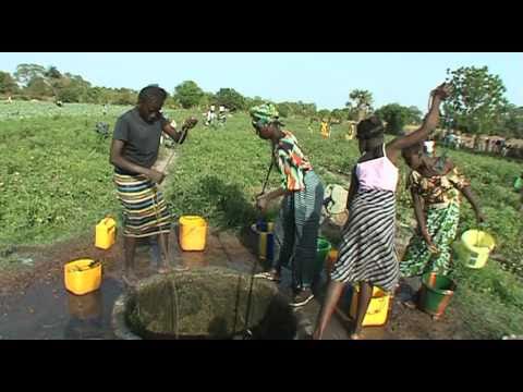 Garden projects in Jahaly/The Gambia