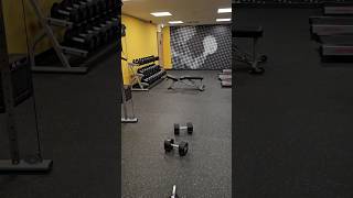 got a filthy pump in at the hotel gym!