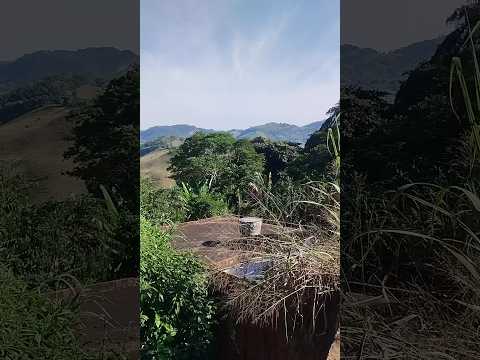 11/06/26, Santa Barbara do Tugurio, MG.#minasgerais #turismo #viagem #santabarbaradotugurio