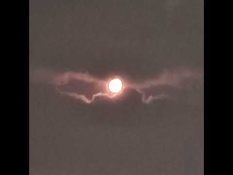 Raincloud (Acoustic)