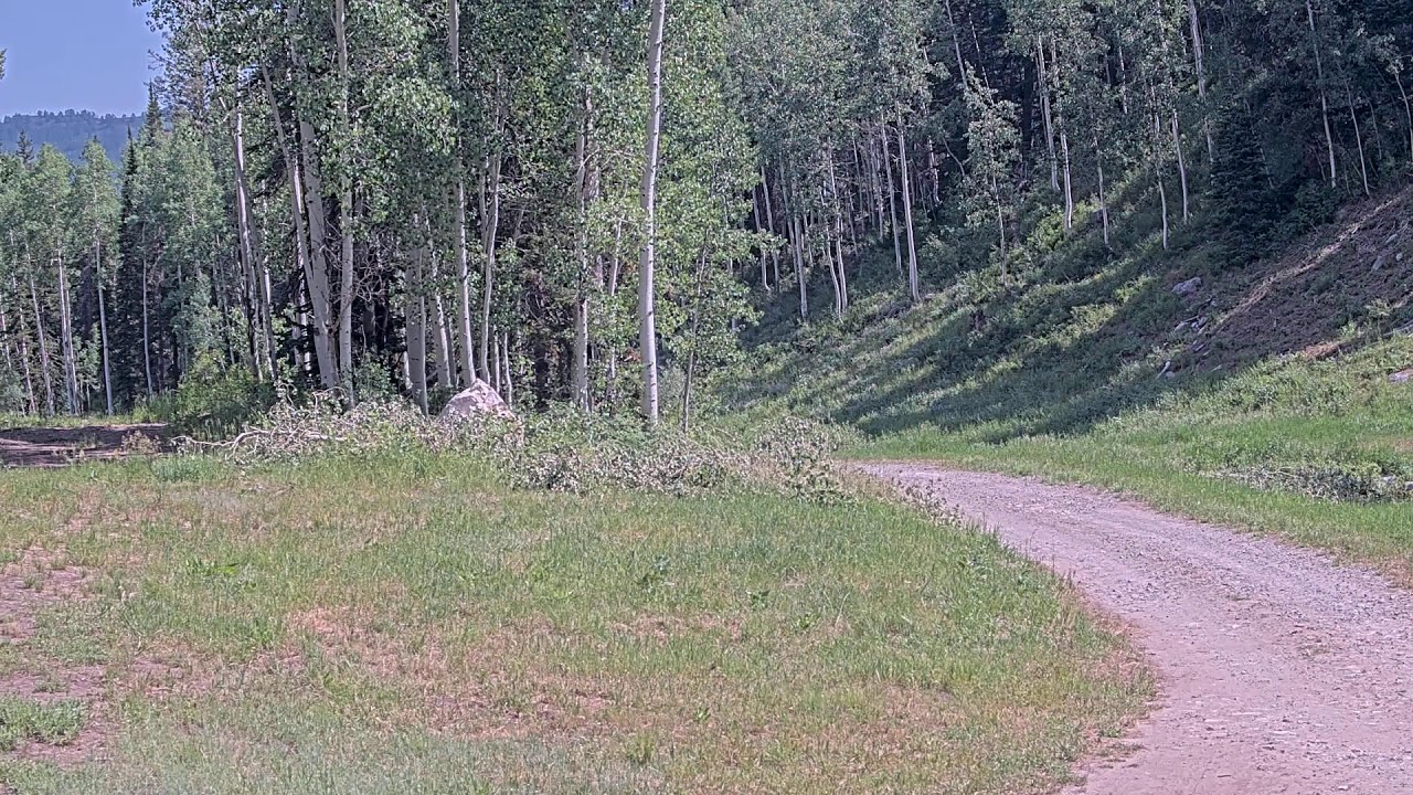 Summit Express Lift Line