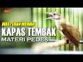MASTERAN KAPAS TEMBAK GACOR